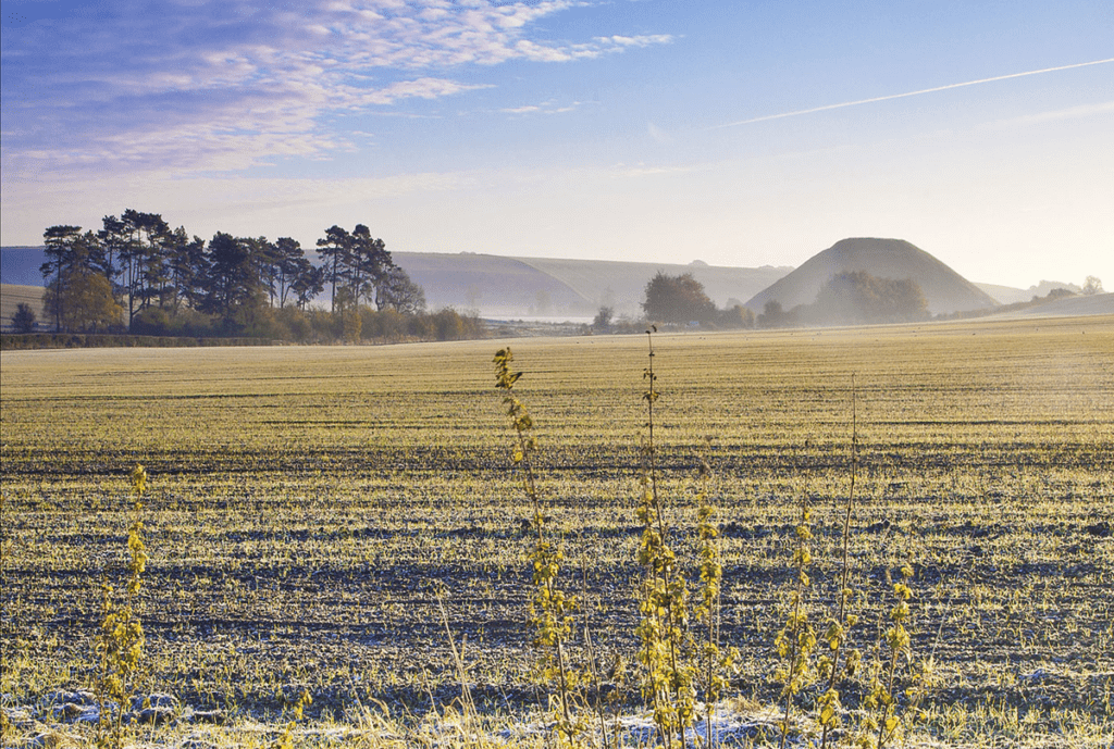 Winter Walks and Scenic Beauty
