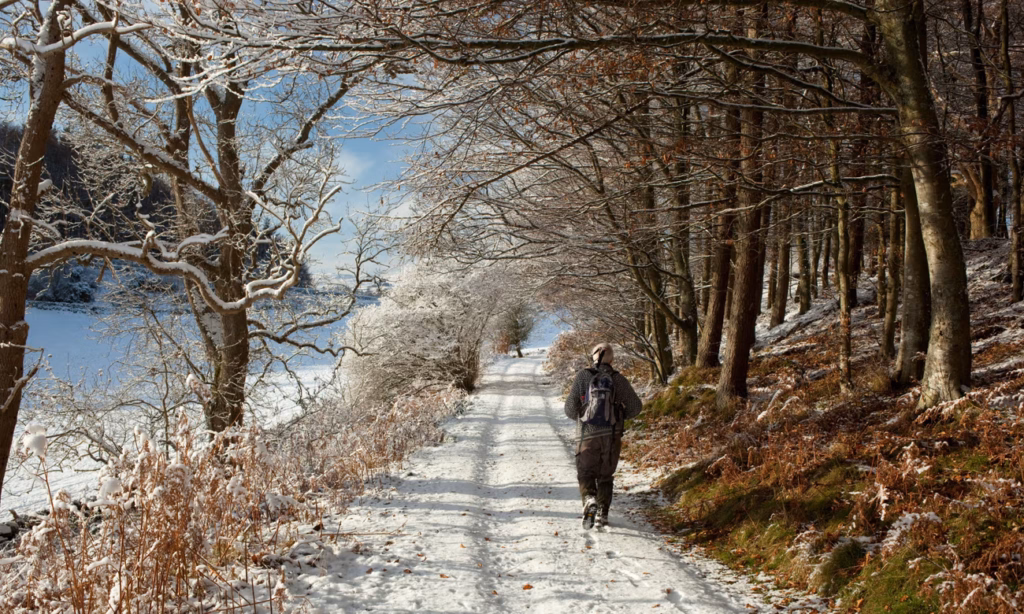 Winter Walks